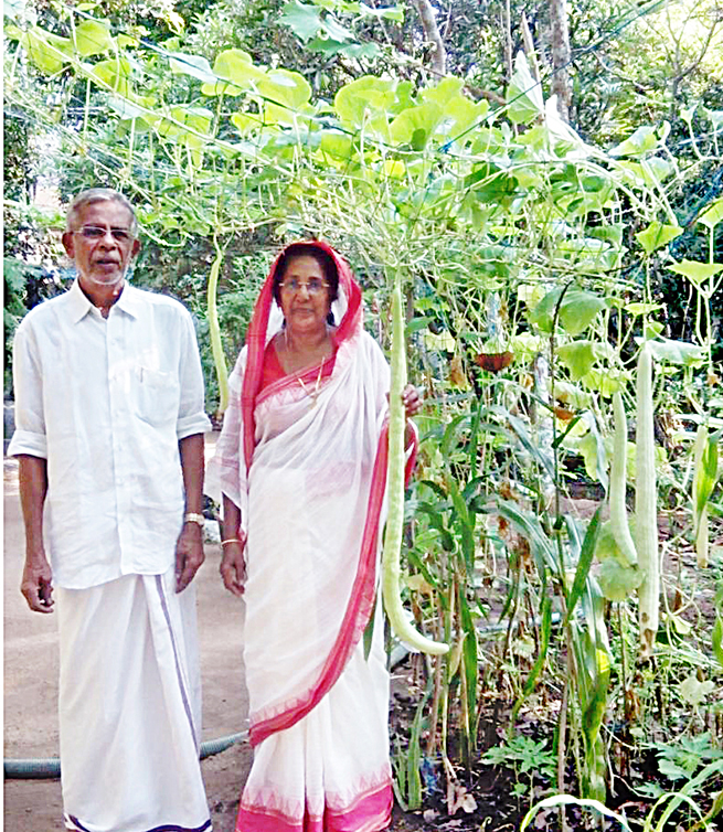 അറയ്ക്കലില് വിളകളുടെ ആറാട്ട് അറയ്ക്കലില് വിളകളുടെ ആറാട്ട്